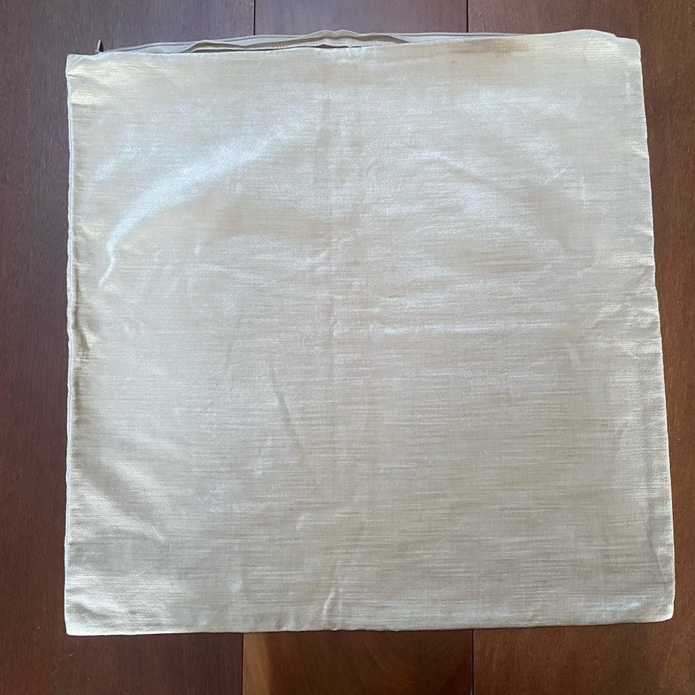 West elm velvet pillow case champagne 🍾